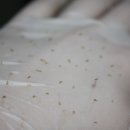 예일피부과의원 이미지