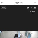 허밍스테이 이미지