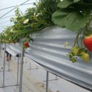 용범농장 이미지