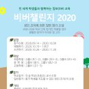 비버코딩 이미지