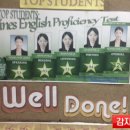 파인스