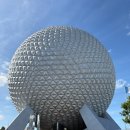 있는 디즈니월드 앱콧(EPCOT) 놀이기구 총정리 :: 가오갤부터 라따뚜이까지 인생 라이드 찐 후기