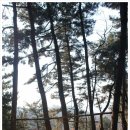 선학산 체육장 2(람덕정) | 11:26~:45-청락원/모덕체육장13:05-은행나무숲길13:16-뒤벼리13:44-람덕정갈림길14:09-선학산14:27...
