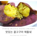 마켓민팅 | 마켓민팅 해들녘 고구마 맛있는 꿀고구마