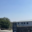 제주 서귀포 카페 수망다원 진한 말차라떼 주차 포토존 녹차밭