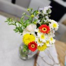 반송동228 | 동탄꽃집 대형식물 집들이선물 꽃다발 킨가드너스 추천