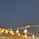 코지스테이 이미지