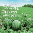 광일영농조합법인