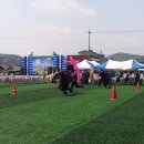 황간중학교 이미지