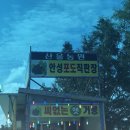 안성 씨없는거봉 포도 길거리 직판 구매 후기 : 기본적으로 비추