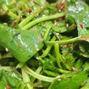 효림농장 이미지