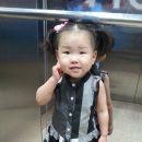 순천한우식육식당 이미지