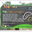 영랑호 범바위 이미지