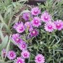 오후의휴식 이미지