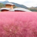 스테이 마중 이미지