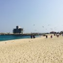 안목주유소 이미지