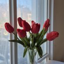 카페315 Daum카페