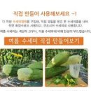 수세미 효능 수세미즙 수세미차 만드는 법 천연수세미 이미지