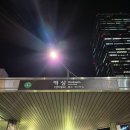 강남 역삼 와인바 모임 하기 좋은 장소 샹볼뮈지니 와인샵엔바 내돈내산 후기