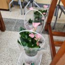 난 원예사 이미지