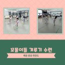 배곧 충효 태권도 이미지