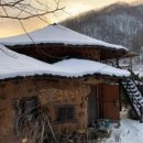 고메똥골 이미지