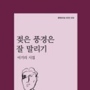 눈숲 이미지