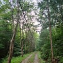 정운덕행정사사무소 | 청송 자연휴양림과 안동 하회마을 1박2일 여행(feat. 화천서원).