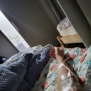 향기나는내과의원 네이버블로그