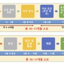 비원팜 | 딸기 육묘 방법