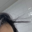 이정부엌 이미지