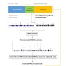 서울대학교 데이터사이언스대학원 이미지
