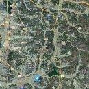 진화 묘 이미지