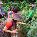 차상경로당 이미지