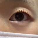 글로리점 | [부산]당리속눈썹펌 잘하는 곳 ‘더예쁠오늘’ 자연스럽게 예뻐지기