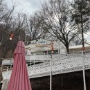 태광파크 | 경기도 용인 애견카페, 테일즈 파크 다녀온 후기!