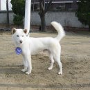 수원-2003 이미지