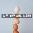 양천헬스 이미지