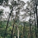 한국폴리텍 VII 대학 울산캠퍼스 이미지