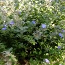 좋은세상 이미지