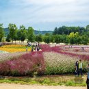 오창시장 이미지