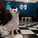 굴남이