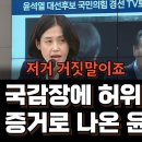 윤석열의 허위사실 공표.. 이미지