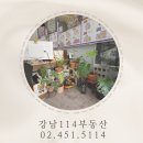 강남지웰공인중개사사무소 이미지