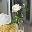 공룡통닭 하남유원정 | 1 • 새롭고 익숙한 경험들과 만남