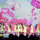 프라미스농장 2 이미지