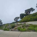 라데나 골프클럽 | ⛳라데나골프클럽_가든 - 레이크 대회 코스 2부 라운딩 후기