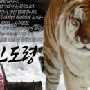 용신48 이미지