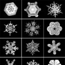 눈이야기 이미지