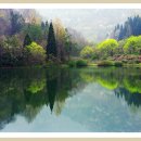 세랑 이미지